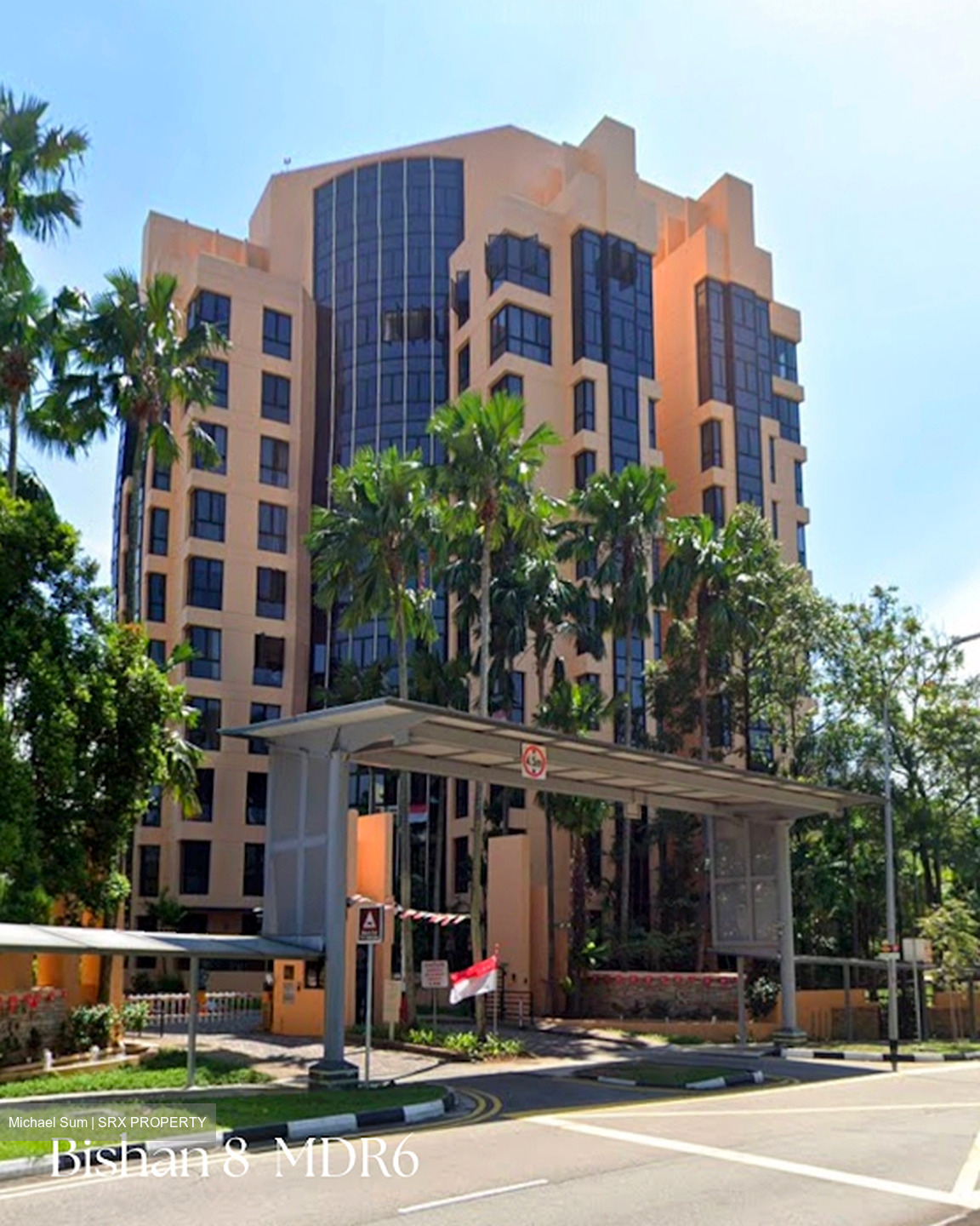 Bishan 8 (D20), Condominium #615545781